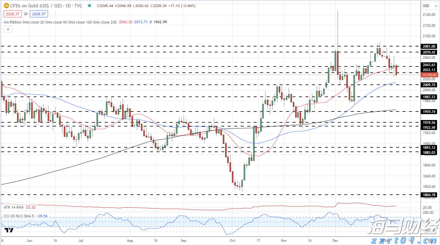 国宝“兄弟”冰城安家!大熊猫“芝士”“芝麻”抵达哈尔滨