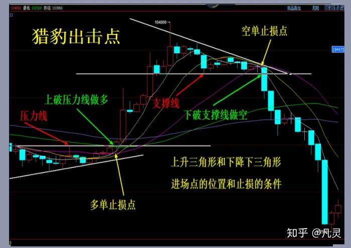 深读|南鲜北滑东甜西辣,中国卤鹅地图藏着多少味觉惊喜?