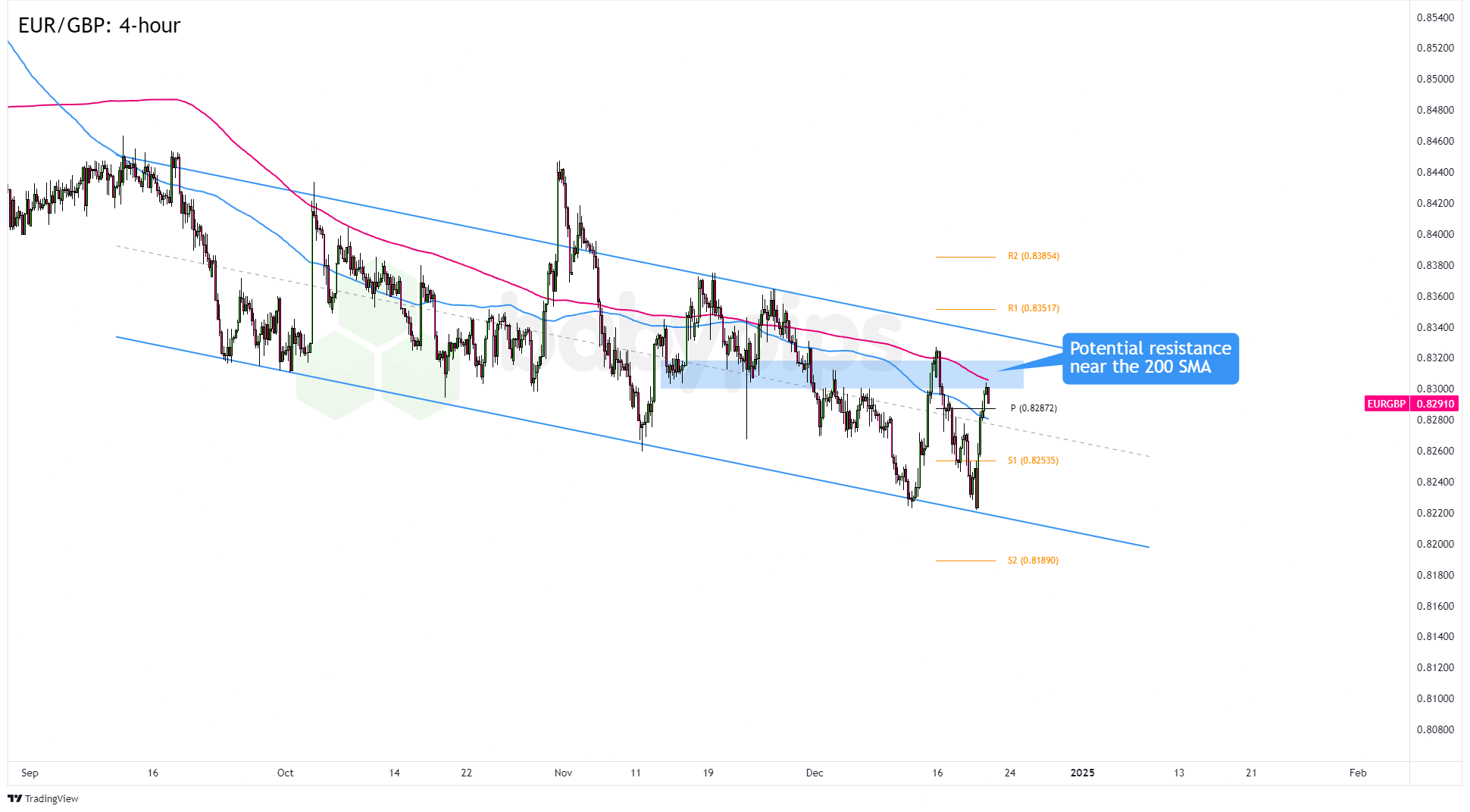 广东体彩运动嘉年华燃动珠海