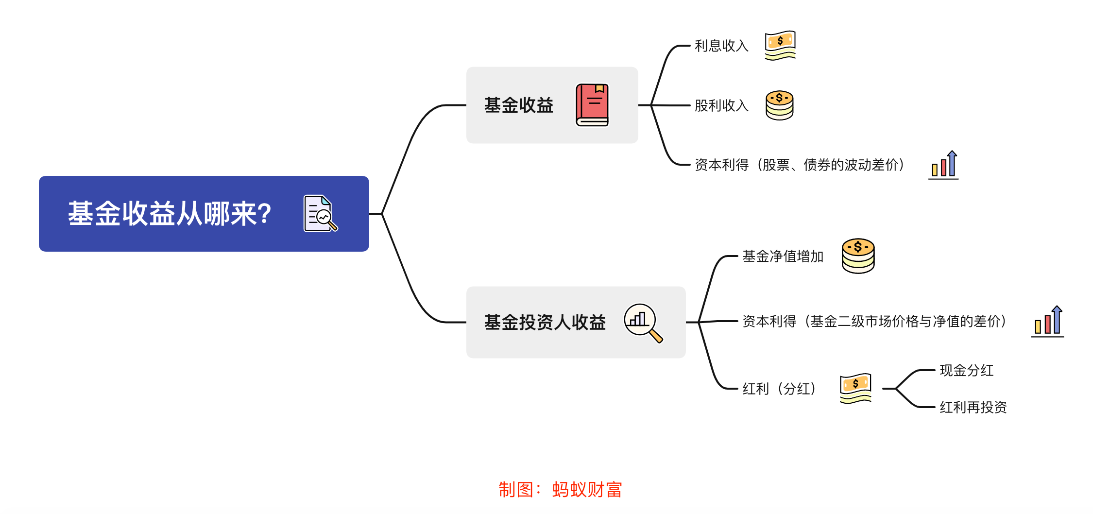 湛江红树林靓丽出镜!6月5日人民日报官微发推文《顶级浪漫!》