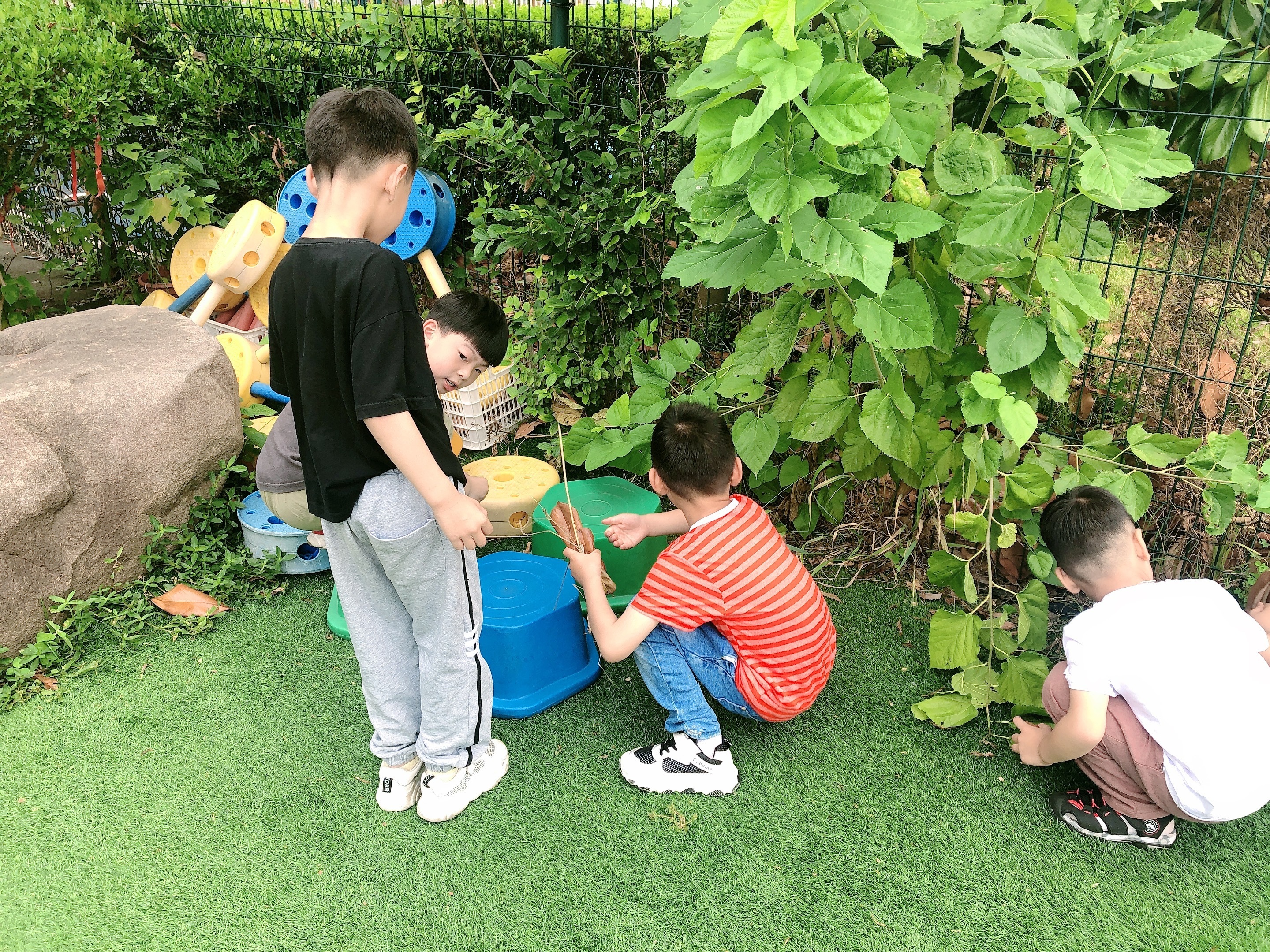 合肥城市管理学校:个性化教学助力大批学子喜获本科录取