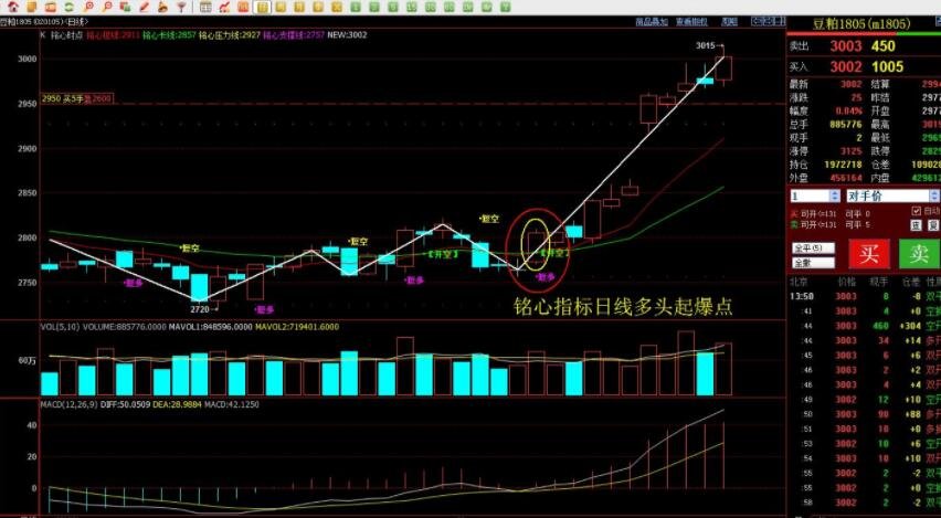从跟跑到领跑,“一粒种子”的闯关突围